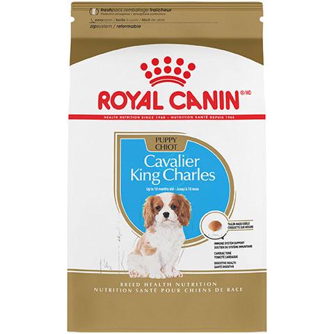 Royal Canin Breed Health Nutrition Cavalier King Charles Puppy Dry Dog Food, 3 lb Bag