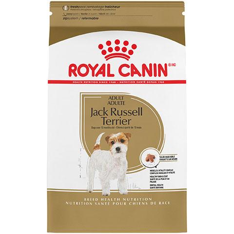 Royal Canin Breed Health Nutrition Jack Russell Terrier Adult Dry Dog Food