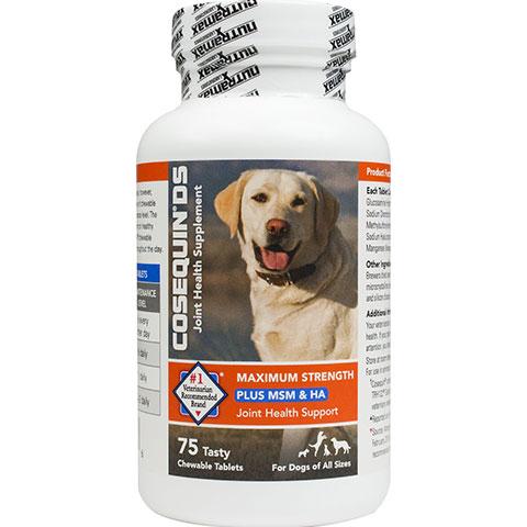 Nutramax Cosequin DS Plus MSM & Hyaluronic Acid (HA) Joint Health Dog Supplement, 75 count
