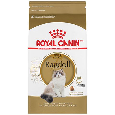Royal Canin Feline Breed Nutrition Ragdoll Adult Dry Cat Food
