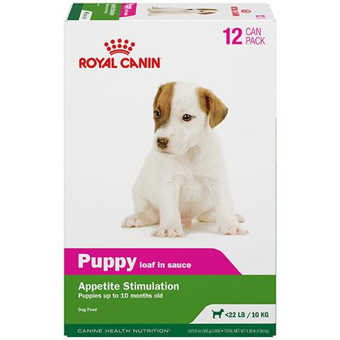 Royal Canin Canine Health Nutrition Puppy in Gel Canned Dog Food for Toy and Small Dogs, 5.8 oz (12 cans/case)