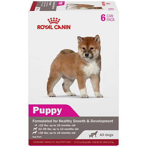 Royal Canin Canine Health Nutrition Puppy in Gel Canned Dog Food for All Size Dogs, 13.5 oz - 6 Pack