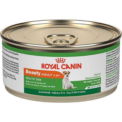 Royal Canin Canine Health Nutrition Beauty Adult in Gel Canned Dog Food, 24/5.8 oz