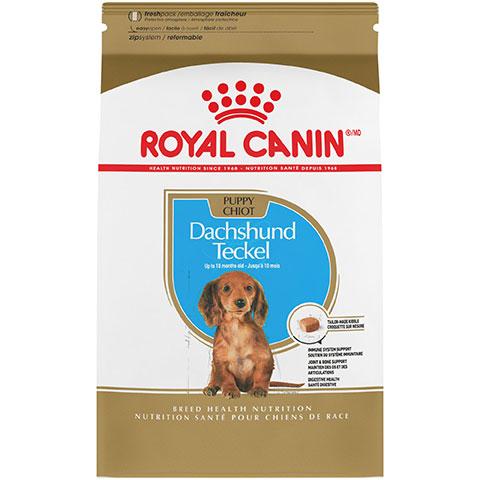 Royal Canin Breed Health Nutrition Dachshund Puppy Dry Dog Food, 2.5 lb Bag
