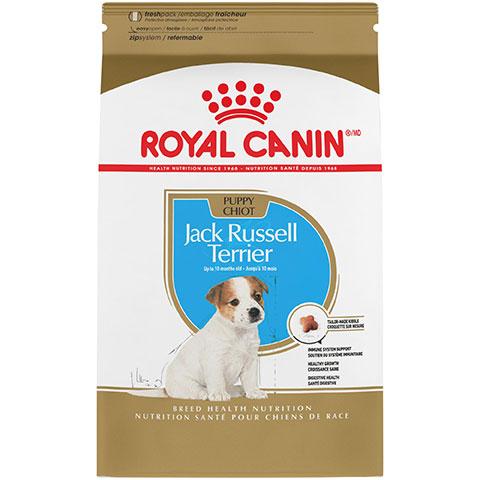 Royal Canin Breed Health Nutrition Jack Russell Terrier Puppy Dry Dog Food, 3 lb Bag