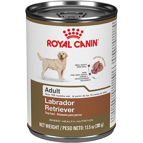 Royal Canin Breed Health Nutrition Labrador Retriever Adult Canned Dog Food, 13.5 oz