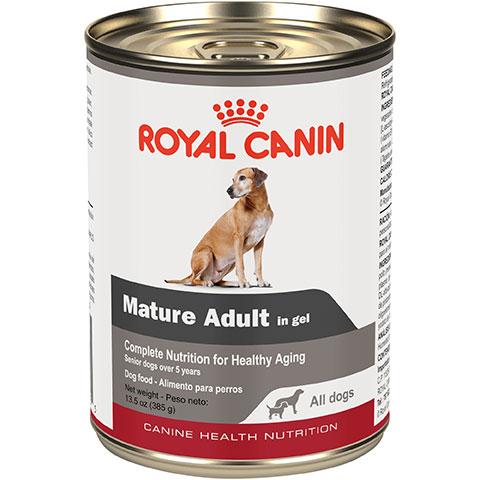 Royal Canin Canine Health Nutrition Mature Adult In Gel Wet Dog Food, 13.6 oz