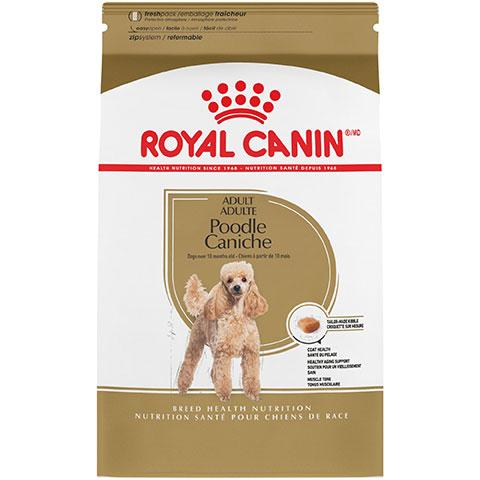 Royal Canin Breed Health Nutrition Poodle Adult Dry Dog Food