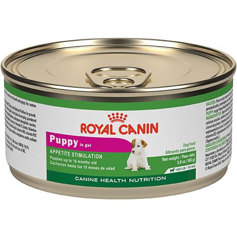 Royal Canin Canine Health Nutrition Puppy In Gel Canned Dog Food For Toy And Small Dogs