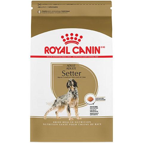 Royal Canin Breed Health Nutrition Setter Adult Dry Dog Food, 30 lb Bag