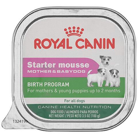 Royal Canin Canine Health Nutrition Starter Mousse Tray Dog Food, 24/3.5 oz