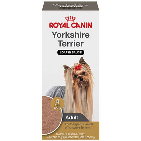 Royal Canin Breed Health Nutrition Yorkshire Terrier Loaf In Sauce Dog Food Multipack, 3 oz, Case of 4