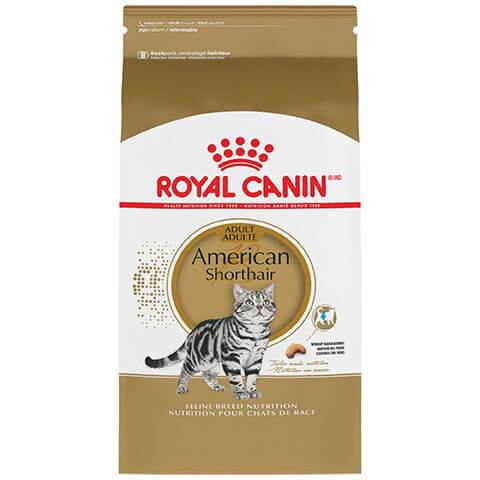 Royal Canin Feline Breed Nutrition American Shorthair Adult Dry Cat Food, 7 lb Bag