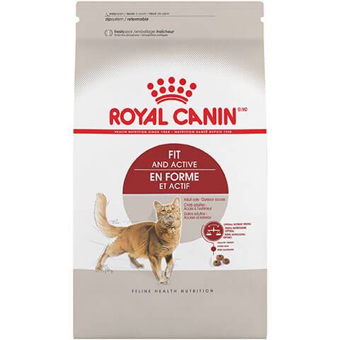 Royal Canin Feline Health Nutrition Fit and Active Dry Cat Food