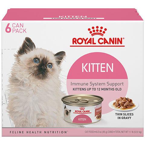 Royal Canin Feline Health Nutrition Kitten Thin Slices In Gravy Canned Cat Food - 6/3 oz