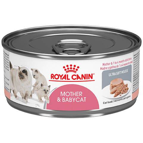 Royal Canin Feline Breed Nutrition Maine Coon Adult Thin Slices In Gravy Canned Cat Food, 3 oz, Pack of 4