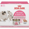 Royal Canin Feline Health Nutrition Mother & Babycat Ultra Soft Mousse Canned Cat Food - 6/3 oz