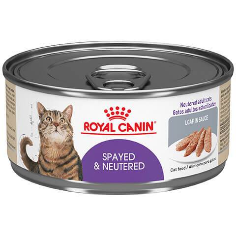 Royal Canin Feline Health Nutrition Spayed & Neutered Loaf In Sauce Canned Cat Food, 24/5.8 oz