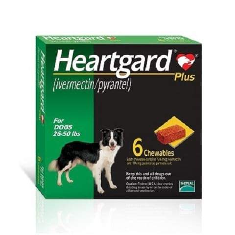 RX - Heartgard Plus Chewable Tablets for Dogs, 26-50 lbs - 6 Treatments