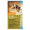 Advantage Multi Topical Solution for Dogs, 9.1 - 20 lbs, 6 treatments