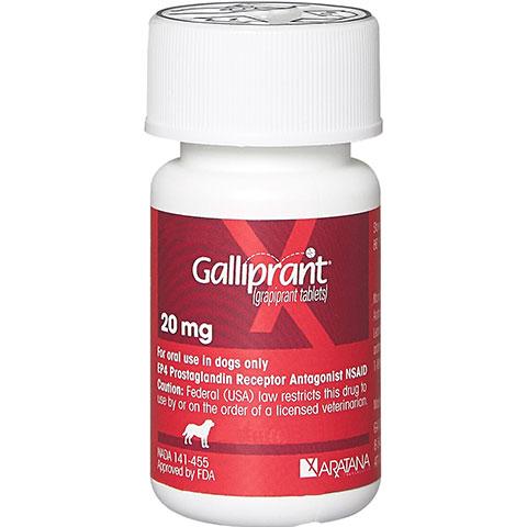 Galliprant Flavored Tablets for Dogs, 1 Count